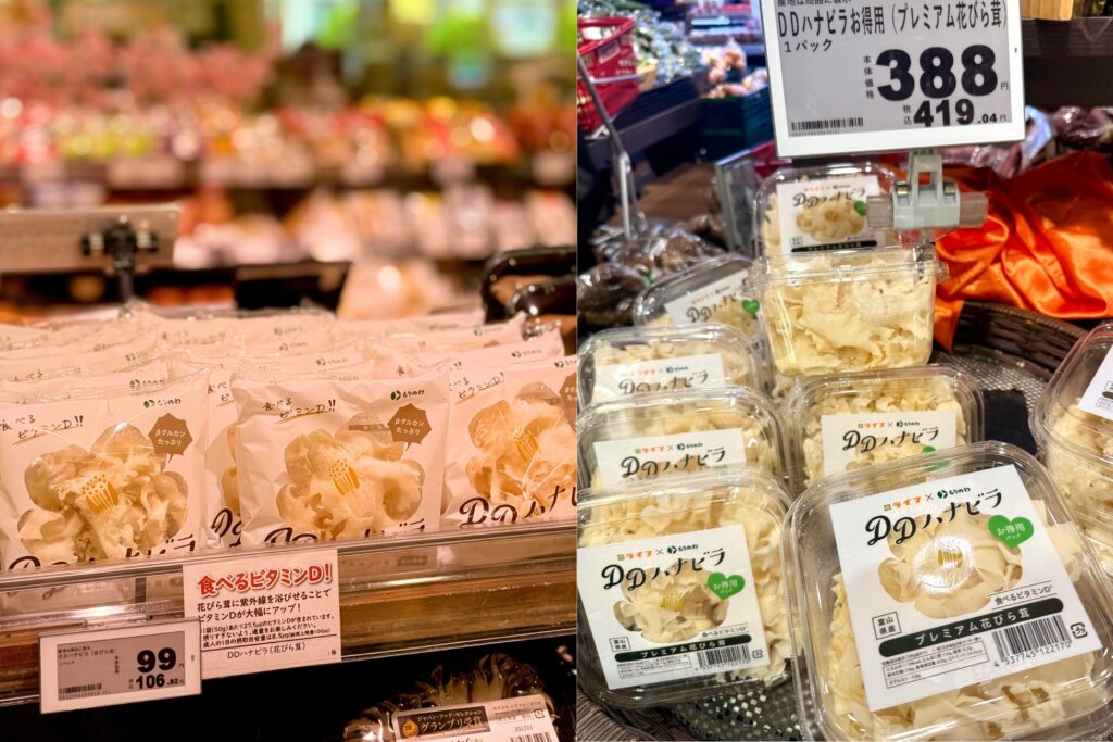 D活　ビタミンDの基礎知識　きのこに含まれるビタミンD　DDハナビラ ハナビラタケ