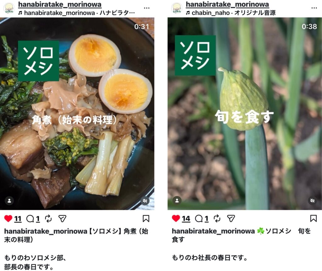ハナビラタケ D活 ビタミンDの多い食材 森の輪 もりのわ 食べるビタミンD ソロメシ